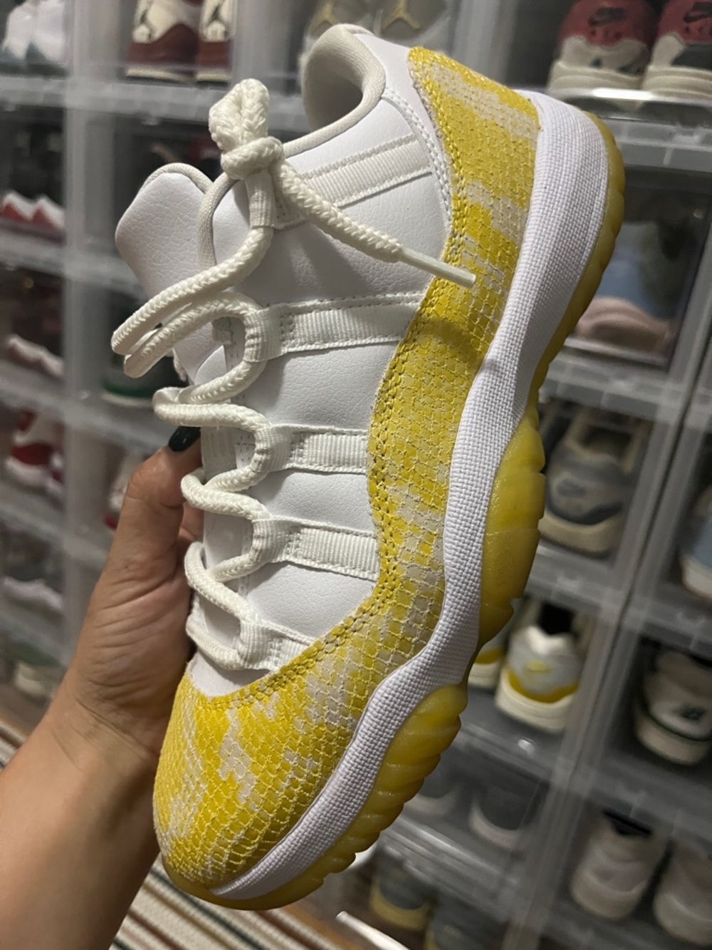 Jordan 11 Low